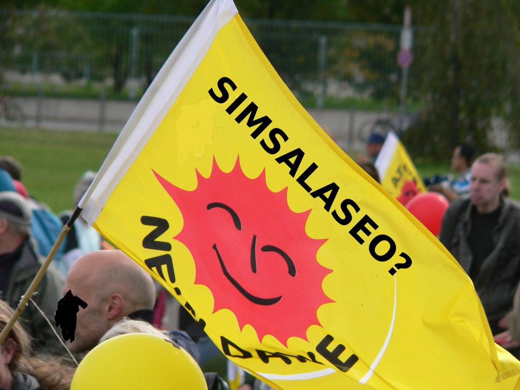  Simsalaseo - Nein Danke : Anti-Simsalaseo-Demo im Jahre 2010 in Berlin. Auch wenn keiner weiss, was ein Simsalaseo eigentlich ist - demonstriert wird krftig.